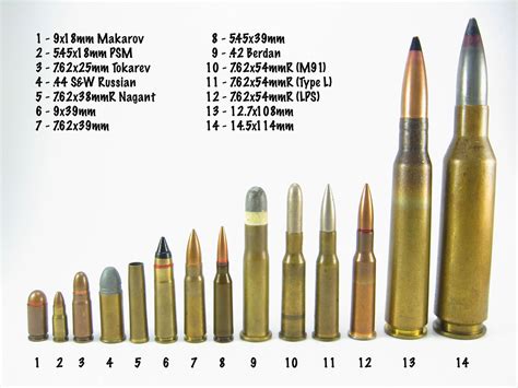 small arms ammunition warzone wiki fandom