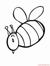 Biene Malvorlage Bumble Malvorlagen Sommer Bies sketch template