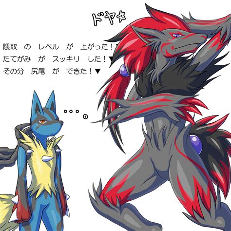 Pokemon Zoroark Vs Lucario