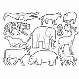 Savane Sauvages Animals Afrique Coloriages Colorier Rhinoceros Printable Remarquable Danieguto Mlle Thème Ko Pleins Safari Choisir Tableau sketch template