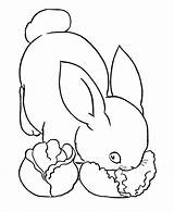 Coloring Pages Rabbit Bunny Animal Printable Animals Farm Lettuce Easter Eating Rabbits Kids Pet Pets Sheets Activity Colour Colouring Painting sketch template