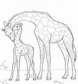 Jirafa Ausmalbilder Giraffes Girafe Coloriage Giraffen Supercoloring Malvorlagen Ausmalen Ausmalbild Sketsa Mewarnai Elefant Anak Madre Mutter Sheets Scribblefun Ausdrucken Kostenlos sketch template