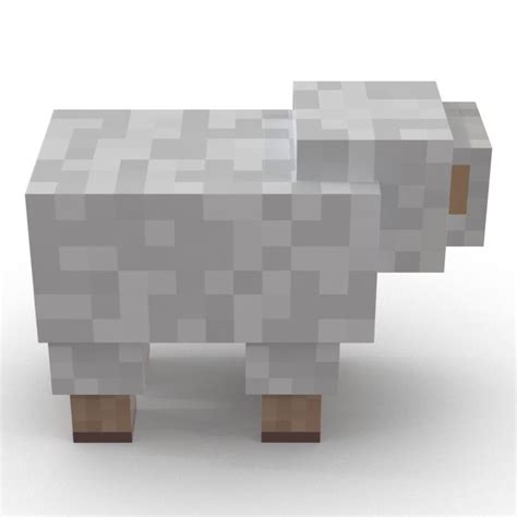 model minecraft sheep  molier international