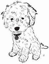 Goldendoodle Getdrawings Pups Puppies sketch template