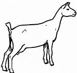 Cabra Cabras Desenho Goats Paisagem Observando Tudodesenhos Colorear Montanha Granjas Prediseñadas Páginas Clipartmag Escolha Tablero sketch template