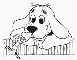 Clifford Coloring Pages Dog Big Red Puppy Getcolorings Printable Print Top sketch template