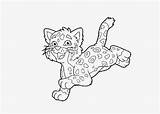 Baby Tiger Coloring Pages sketch template