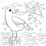 Seagull Seagulls Nemo sketch template