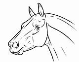 Horse Head Drawing Outline Easy Sketch Cartoon Drawings Simple Coloring Pages Draw Lineart Book Horses Heads Sketches Getdrawings Google Deviantart sketch template