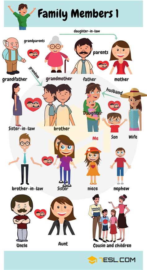 members   family vocabulary family members tree