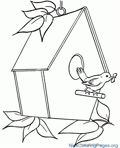 bird house drawing  getdrawings
