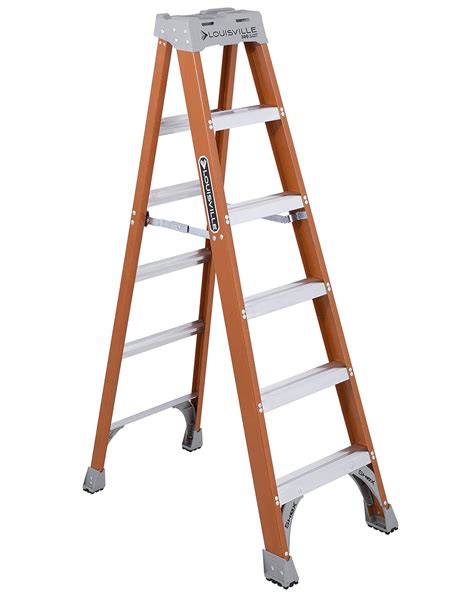 werner  feet ladder   choice