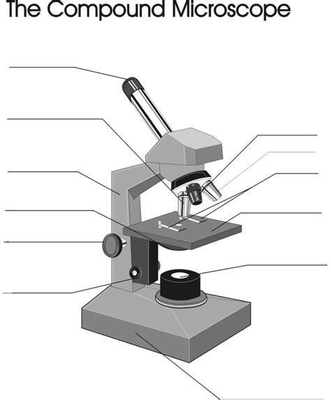 microscope parts diagram quizlet
