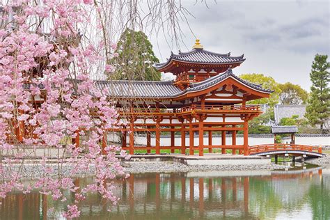 guide  expats moving  japan