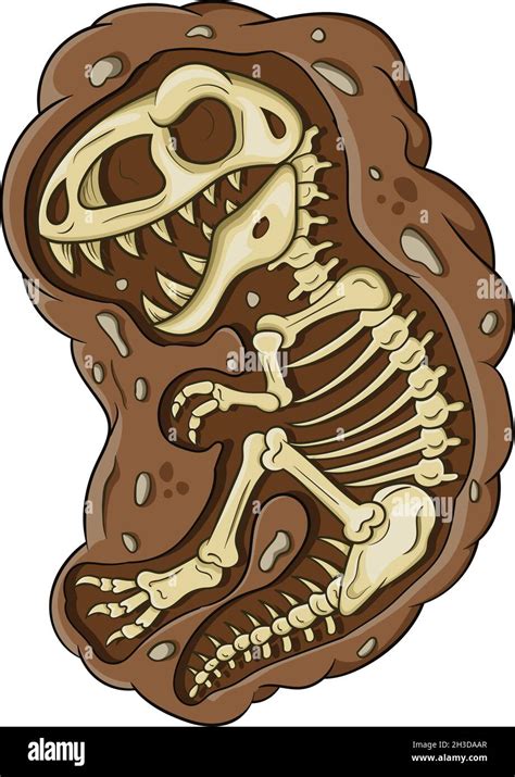 illustration  cartoon dinosaur fossil stock vector image art alamy