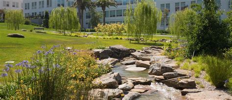 business complex landscaping corporate campus landscaper brightview