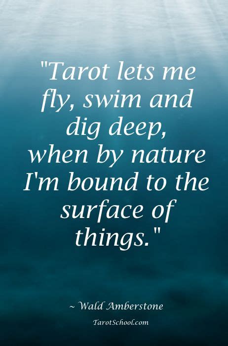tarot lets  fly swim  dig deep   nature im bound   surface