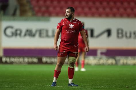 harri oconnor called   wales squad scarlets rugby