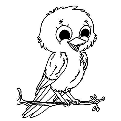 bird birds kids coloring pages