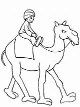 Camel Riding Colornimbus Camellos sketch template