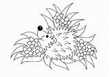 Coloring Coloriage Pages Hedgehog Herisson Colorier Dessin Imprimer Hérisson Animated Egel Kleurplaat Hedgehogs Coloringpages1001 Animals Dessins sketch template