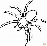 Spider Coloring Pages Drawing sketch template