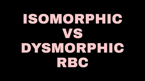 isomorphic  dysmorphic rbc renal pathology youtube
