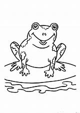 Frog Speckled sketch template