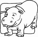 Coloring Pages Animal Hippopotamus Hippo sketch template