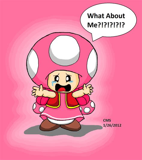 Toadette Forgotten Fungal Friend Of The Past Mario
