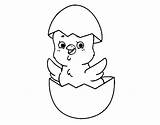 Easter Chick Happy Coloring Chicken Coloringcrew Pages Eggs Three Book sketch template