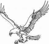 Eagle Clip Outline Drawing Drawings sketch template