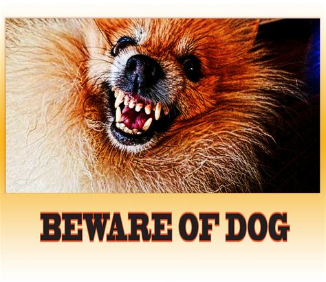beware  dog sign  stock photo public domain pictures