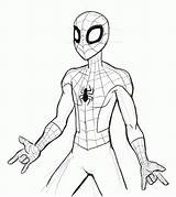 Spider Man Coloring Drawings Spiderman Drawing Popular Draw sketch template