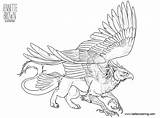 Griffin Coloring Pages Sketch Sugarpoultry Printable Adults Kids Color sketch template