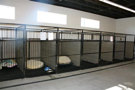 pin  carrie dewall  kennel design ideas indoor dog kennel indoor dog dog boarding kennels