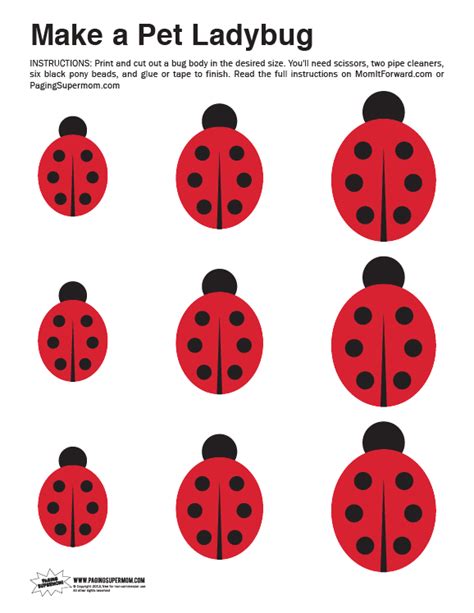 printable ladybug template cake ideas  designs