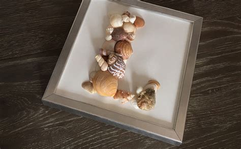 Diy Tableau De Coquillages By Matao Le Blog By Matao Les