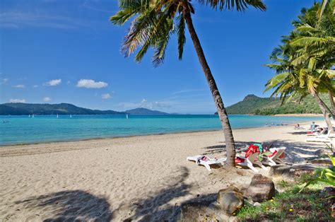 relax  luxury  catseye beach hamilton island