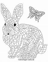 Ausdrucken Hase Malvorlage Malvorlagen Tiermandala Mosaik Mandalas Vorlagen Seite Kinderbilder Erwachsene Kleurplaat Animaux Konijn sketch template
