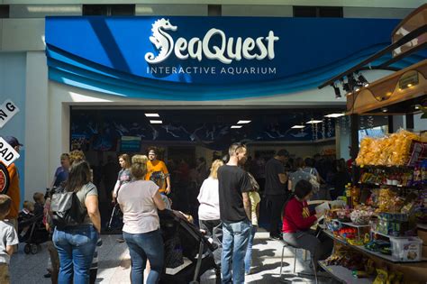 las vegas seaquest employees allege animal neglect las vegas
