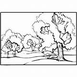 Stream Coloring Trees Designlooter 7kb 300px Getdrawings Getcolorings sketch template