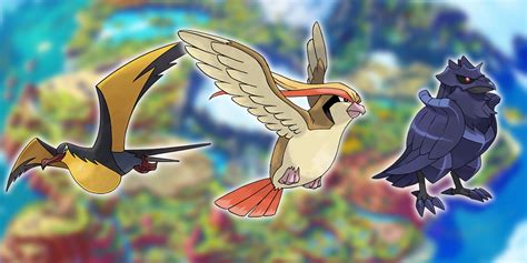 pokemon  regional bird   generation ranked