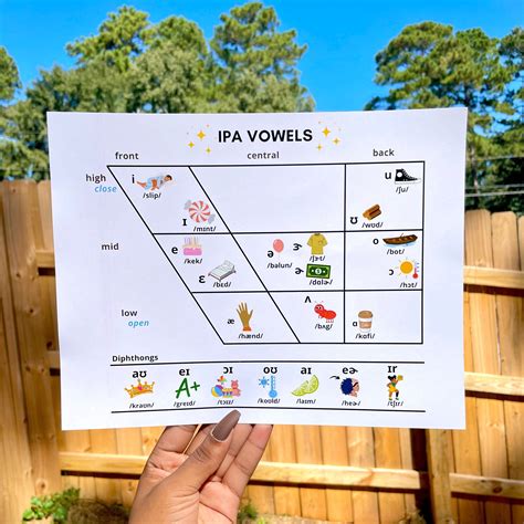 ipa vowel quadrilateral  examples  pictures diphthongs school