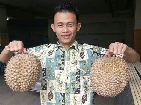 Stinkin Sky High Indonesian Durians Fetch 1 000 Apiece