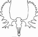 Moose Skull Deviantart sketch template