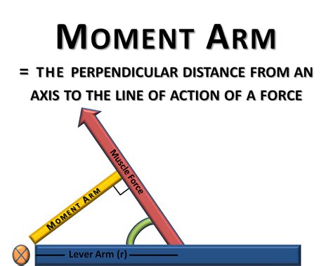 basic biomechanics moment arm torque
