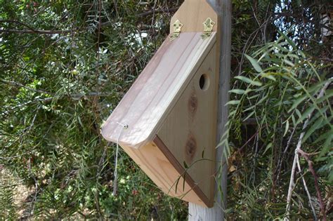 finch bird houses lets    birdcage design ideas
