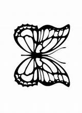 Butterfly Monarch Coloring Pages Color Outline Kids Printable Cliparts Butterflies Animals Library Clipart Sheet sketch template