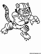 Coloring Football Pages Tiger Lsu Auburn Tigers Mascot Clemson Player Clipart Cartoon Head Clip Drawing Nfl Colouring Tasmanian Color Printable sketch template